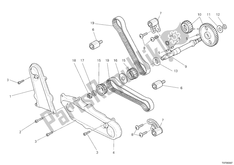 Wszystkie części do Pasek Rozrz? Du Ducati Monster S2R 1000 2008